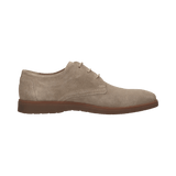 2/10/2026 2:36:47 PM