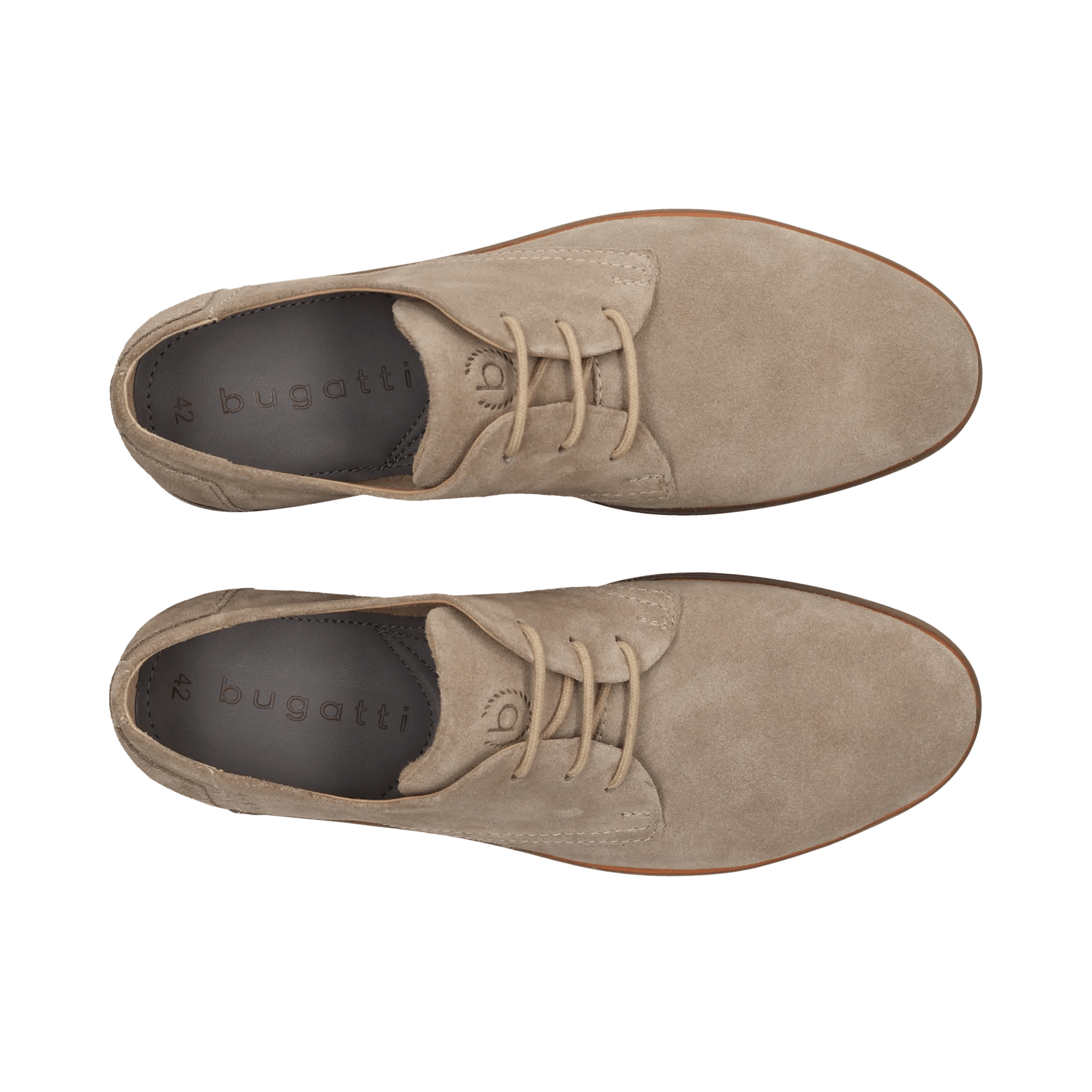 2/10/2026 2:36:47 PM