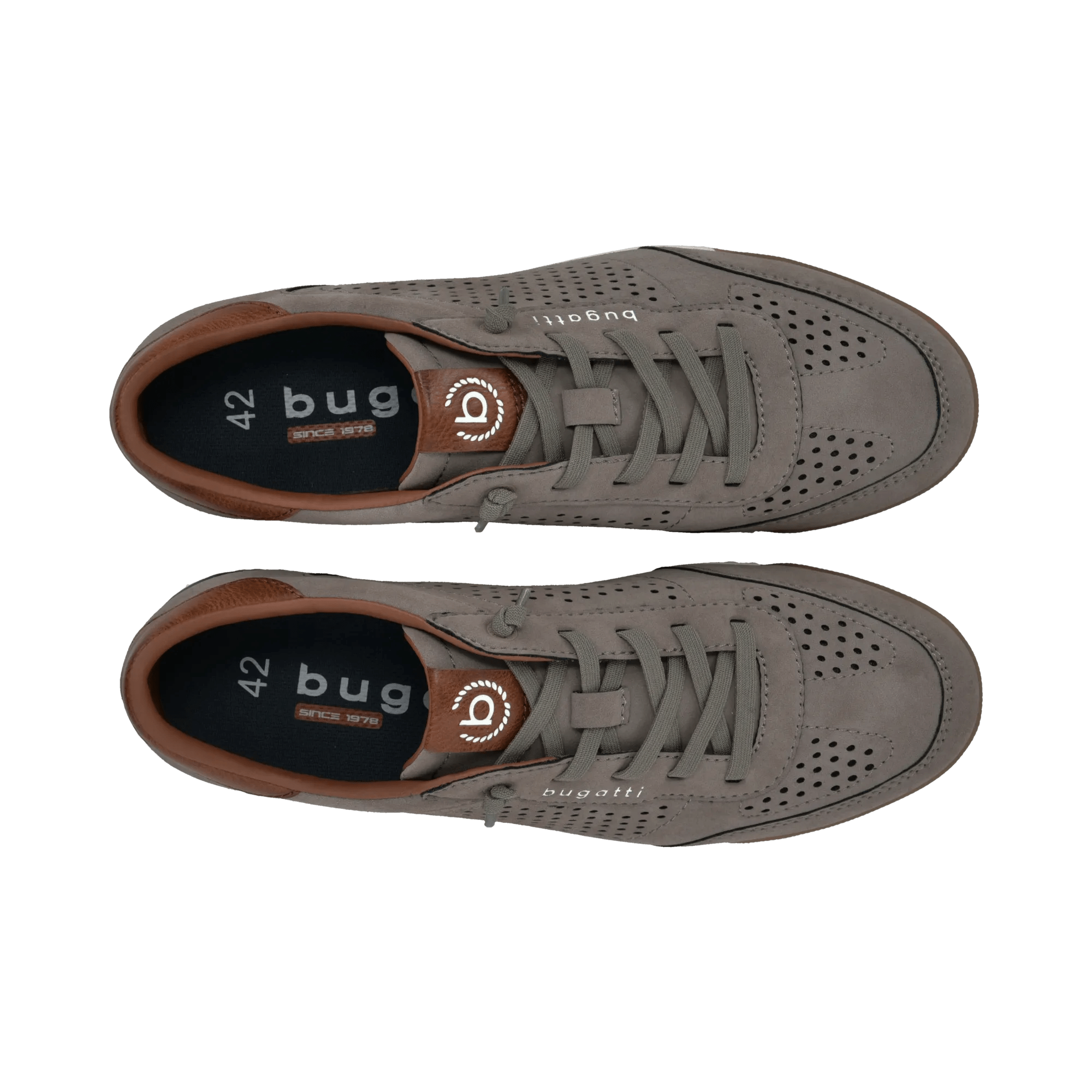 2/10/2026 2:36:23 PM