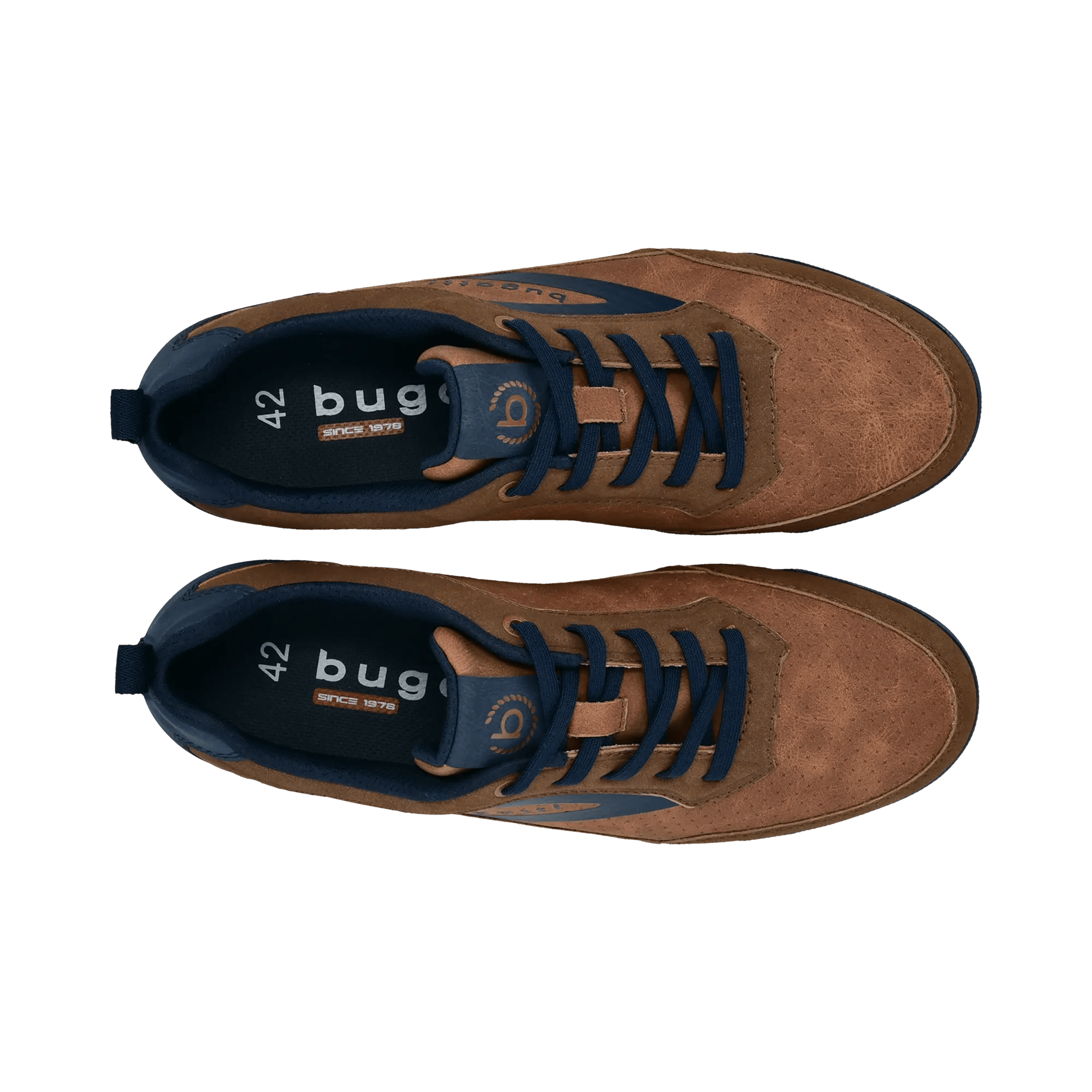 2/10/2026 2:36:48 PM