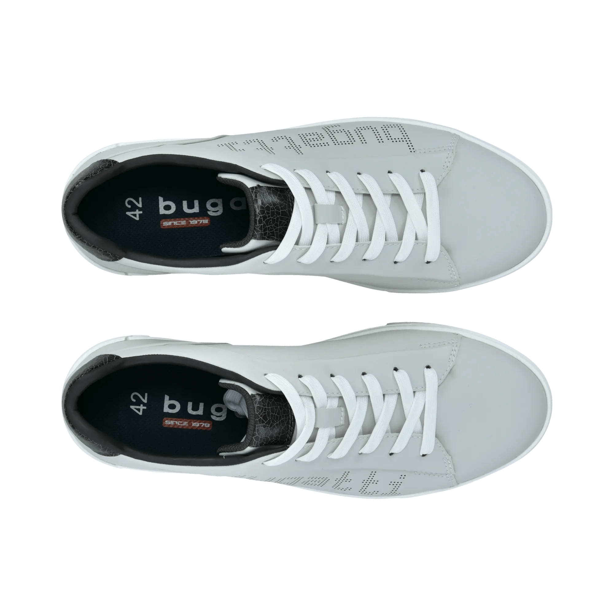 2/10/2026 2:36:12 PM