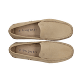 2/10/2026 2:36:50 PM