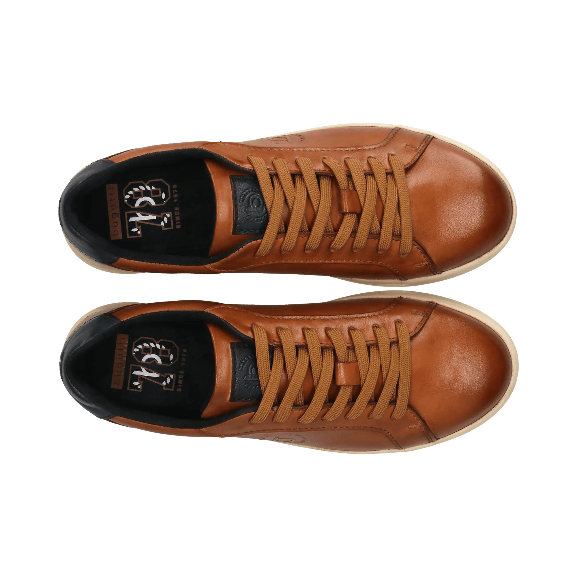 2/10/2026 2:36:51 PM