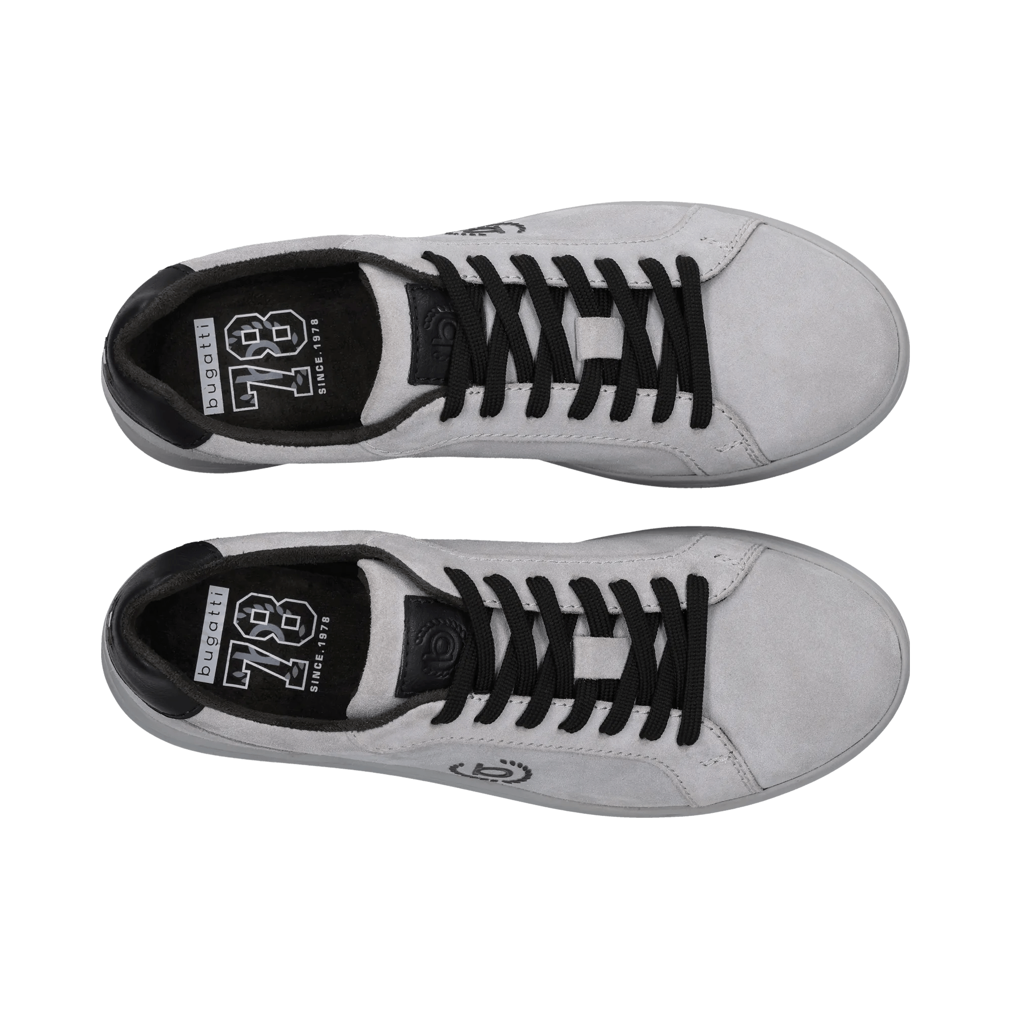 2/10/2026 2:36:52 PM