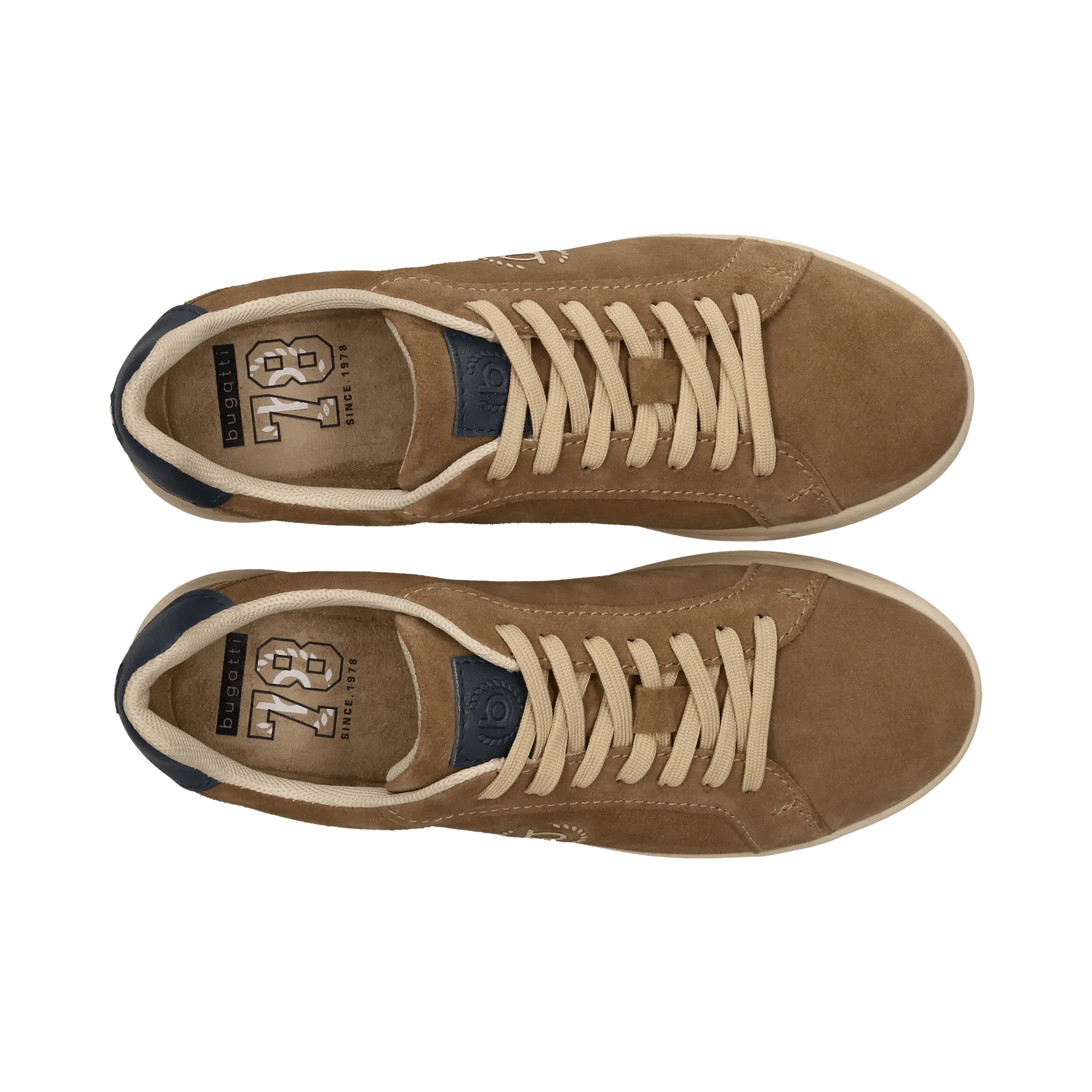 2/10/2026 2:36:53 PM