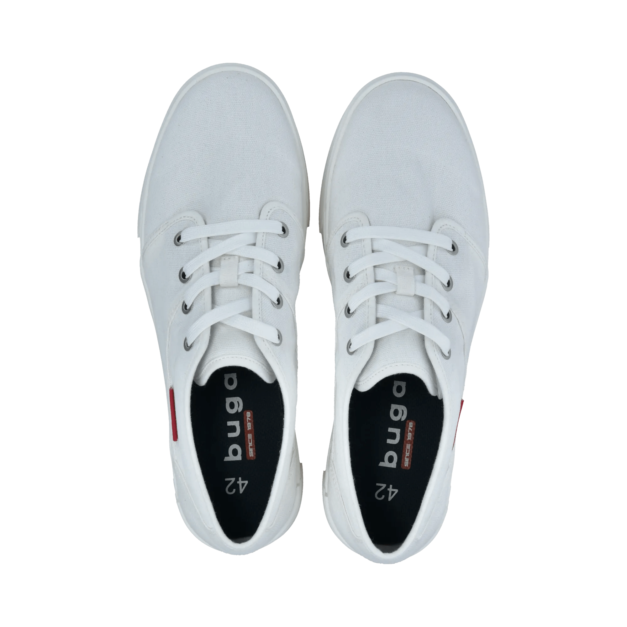 2/10/2026 2:36:42 PM