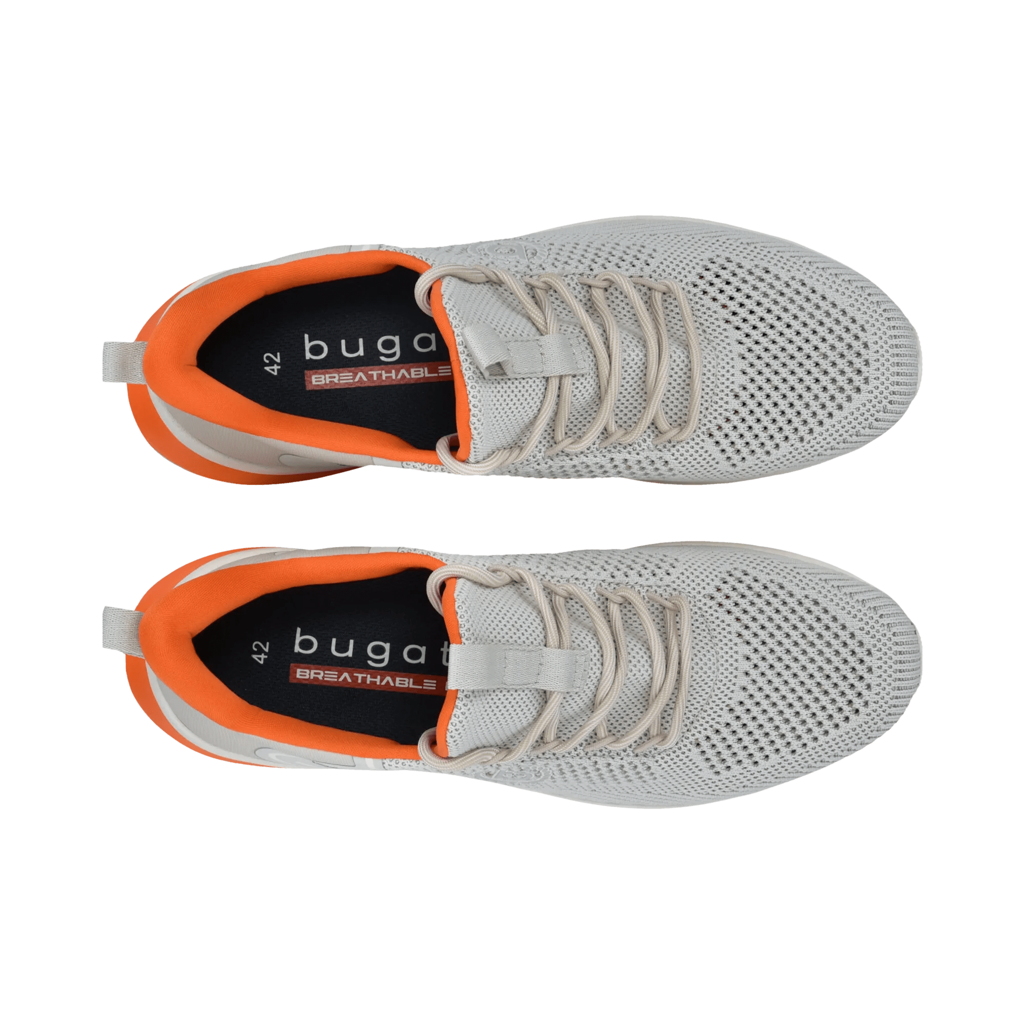 2/10/2026 2:36:27 PM