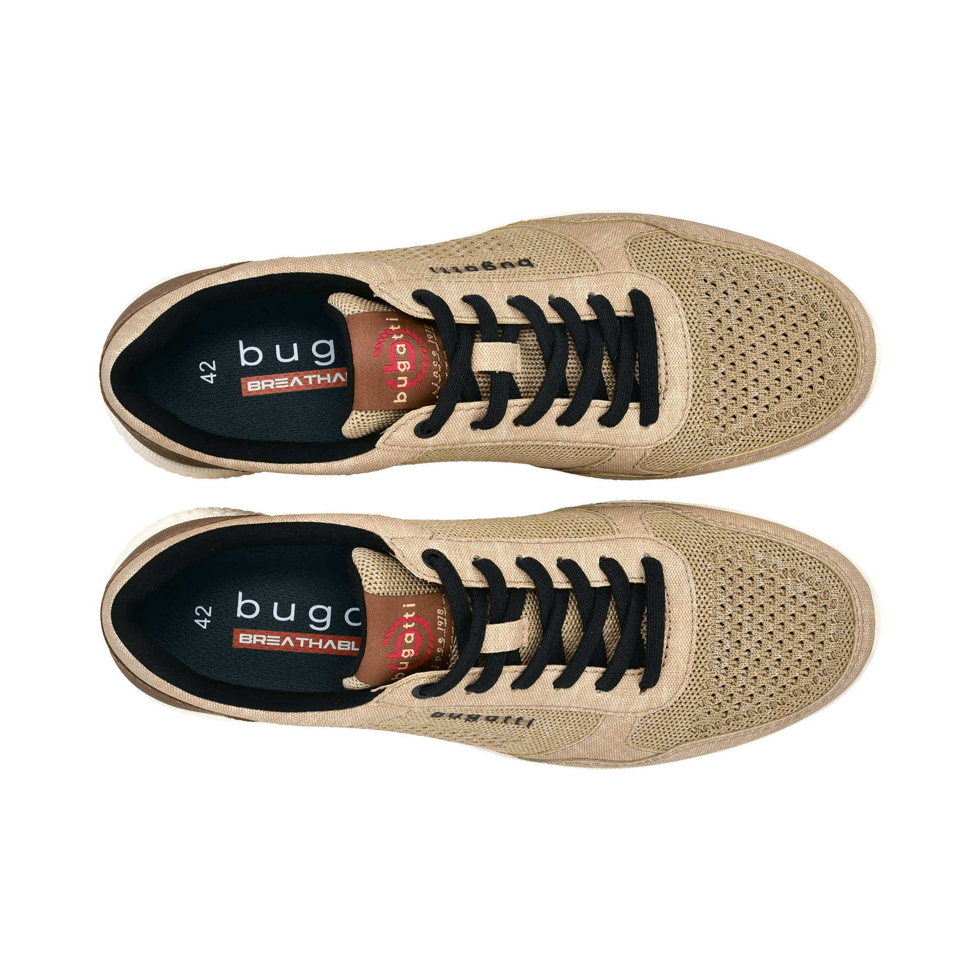 2/10/2026 2:36:55 PM