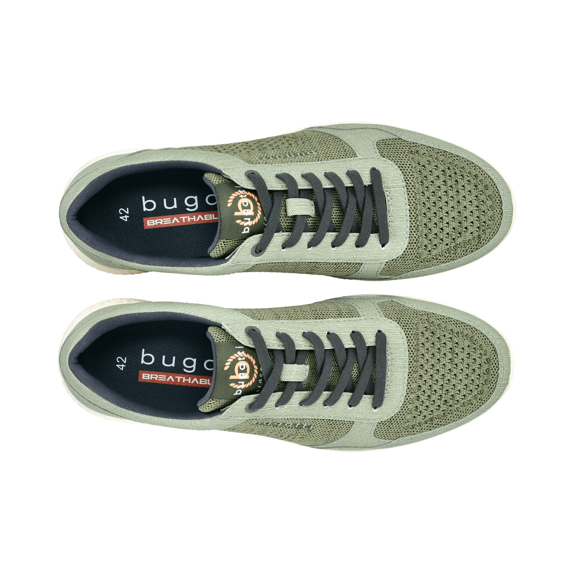 2/10/2026 2:36:54 PM