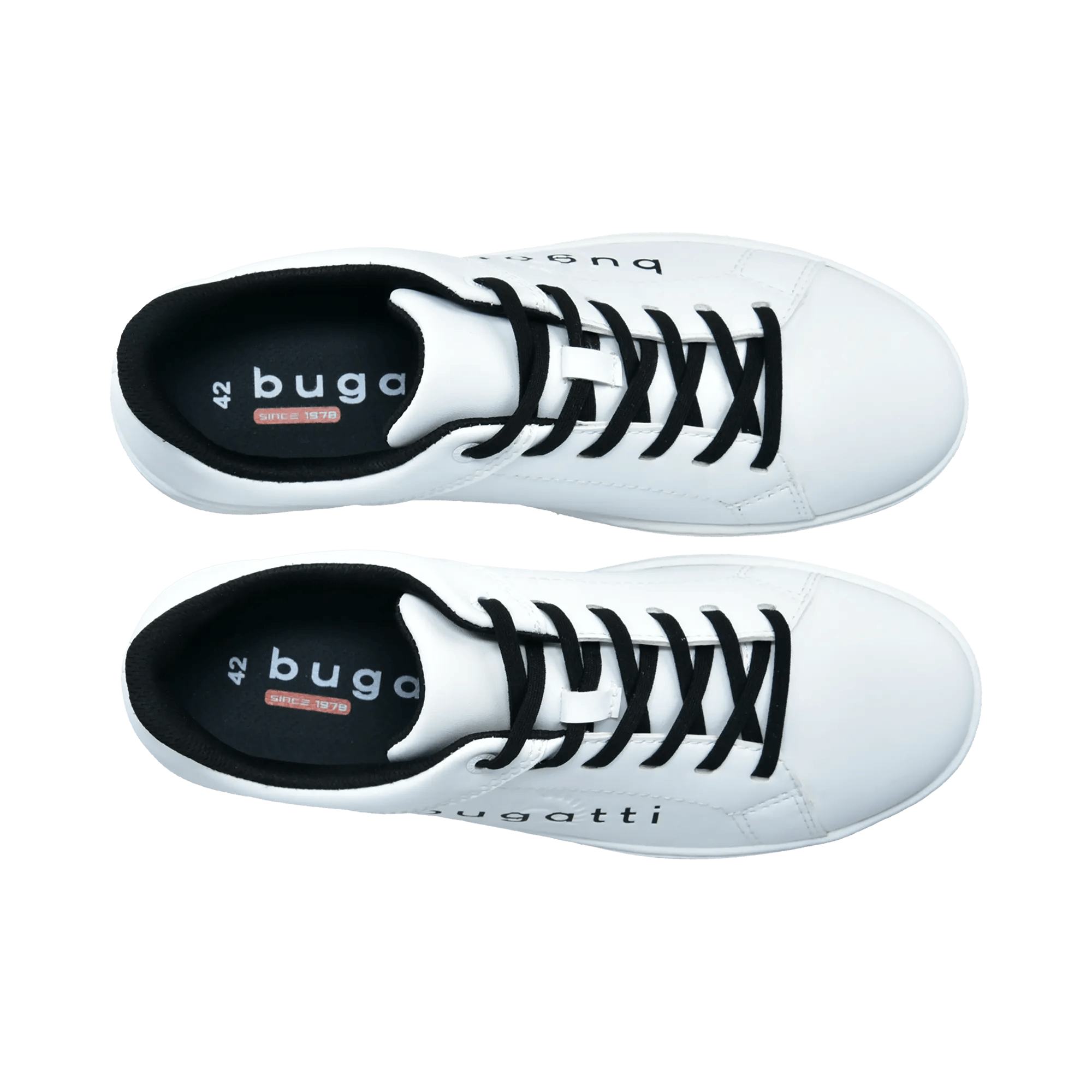 1/13/2026 3:09:56 PM