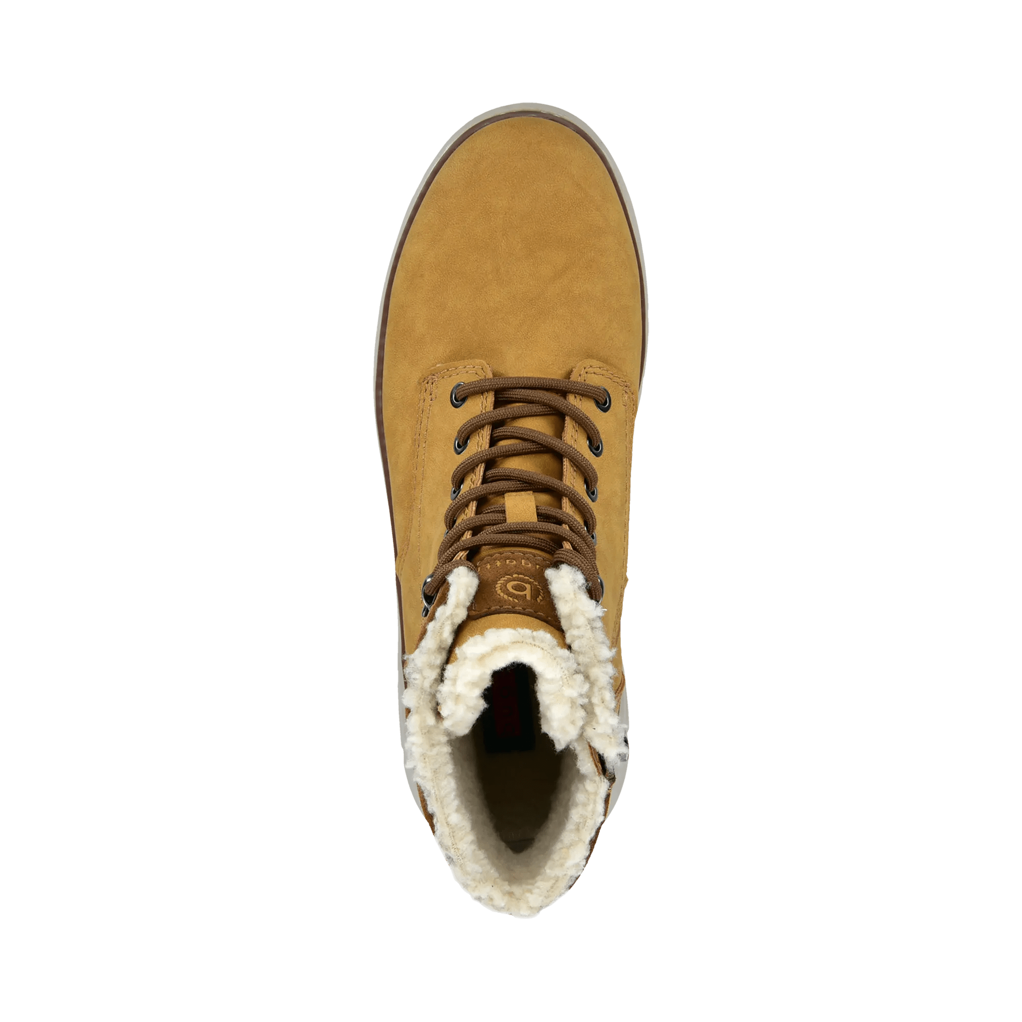 2/11/2026 9:41:41 AM