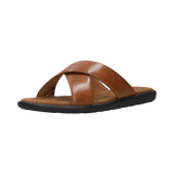 2/12/2026 2:27:43 PM