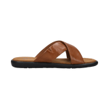 2/12/2026 2:27:43 PM