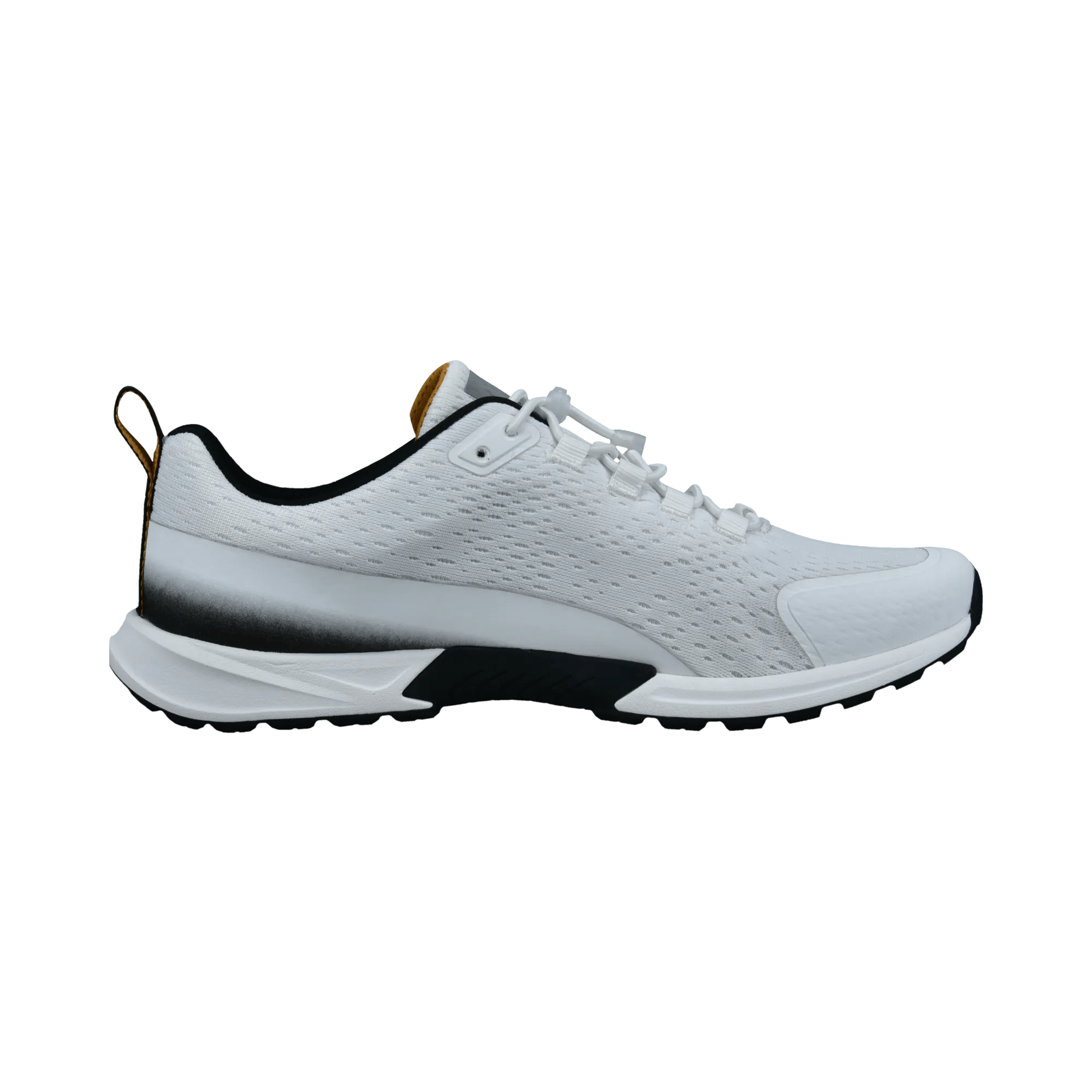 2/10/2026 2:36:17 PM