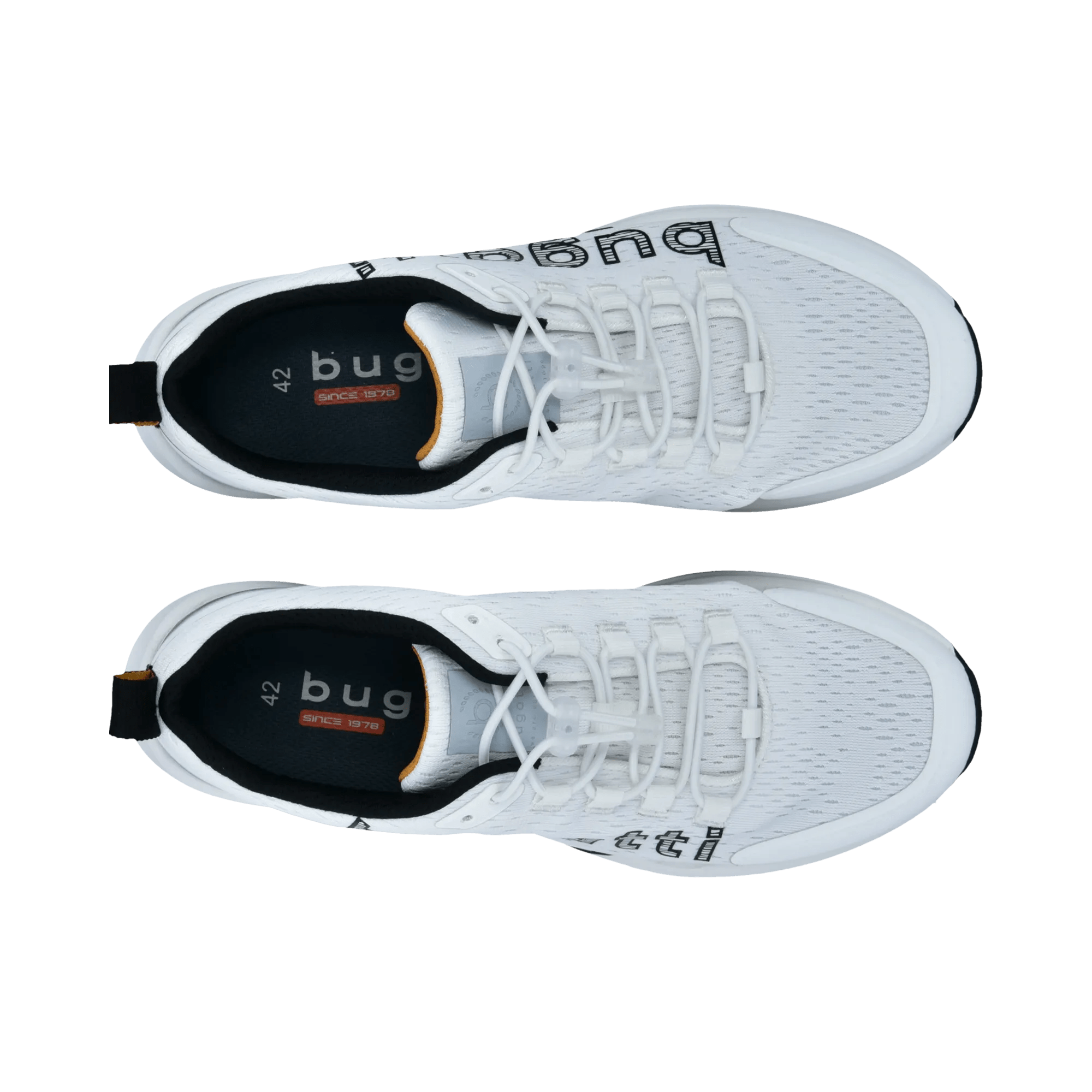 2/10/2026 2:36:17 PM