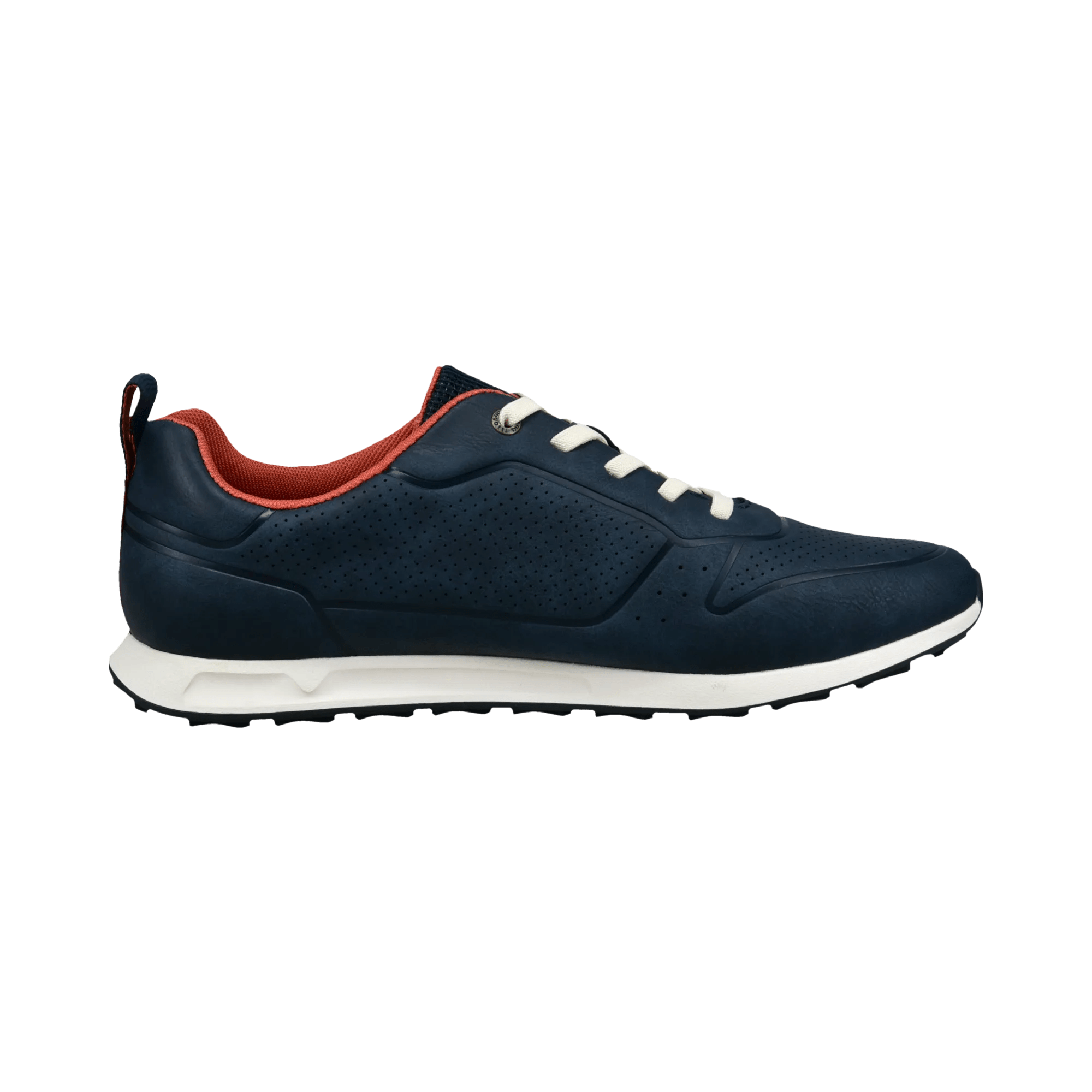 2/10/2026 2:38:12 PM