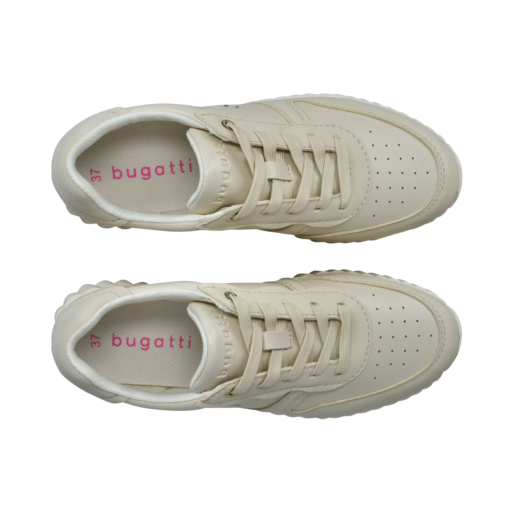 1/13/2026 3:10:36 PM