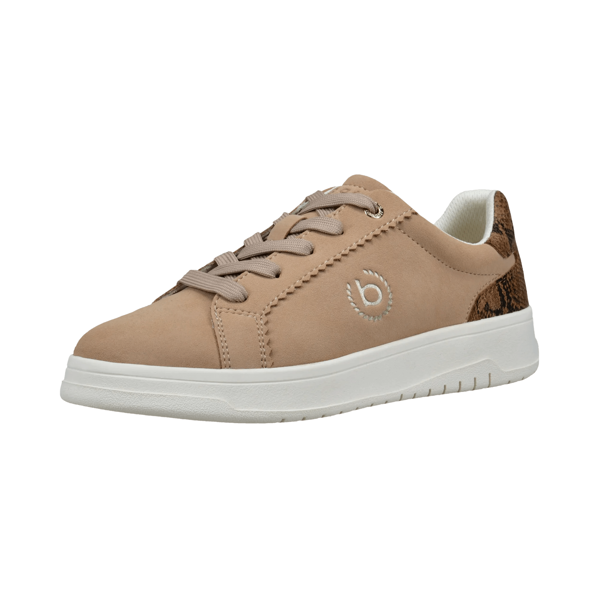 1/13/2026 3:10:41 PM