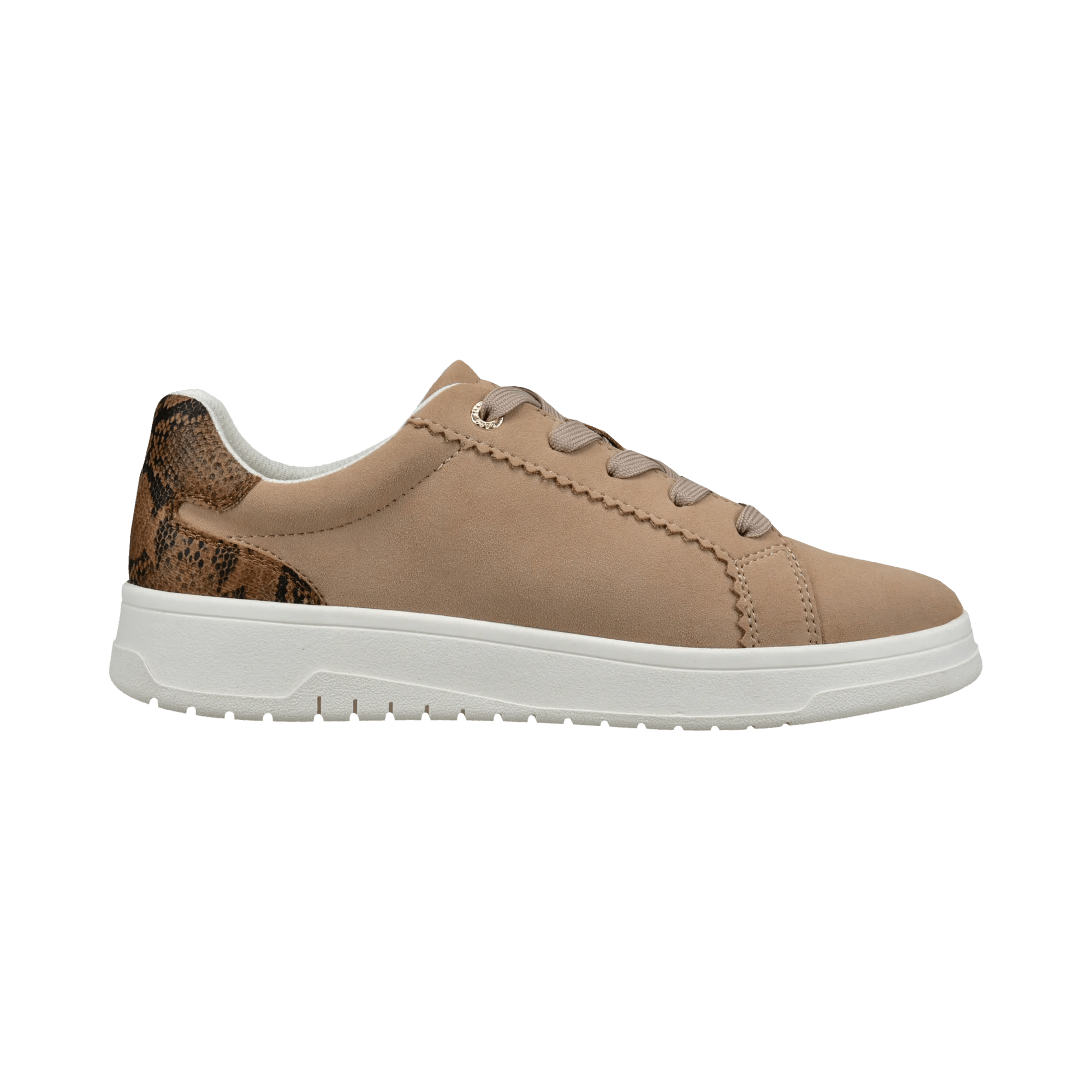 1/13/2026 3:10:41 PM