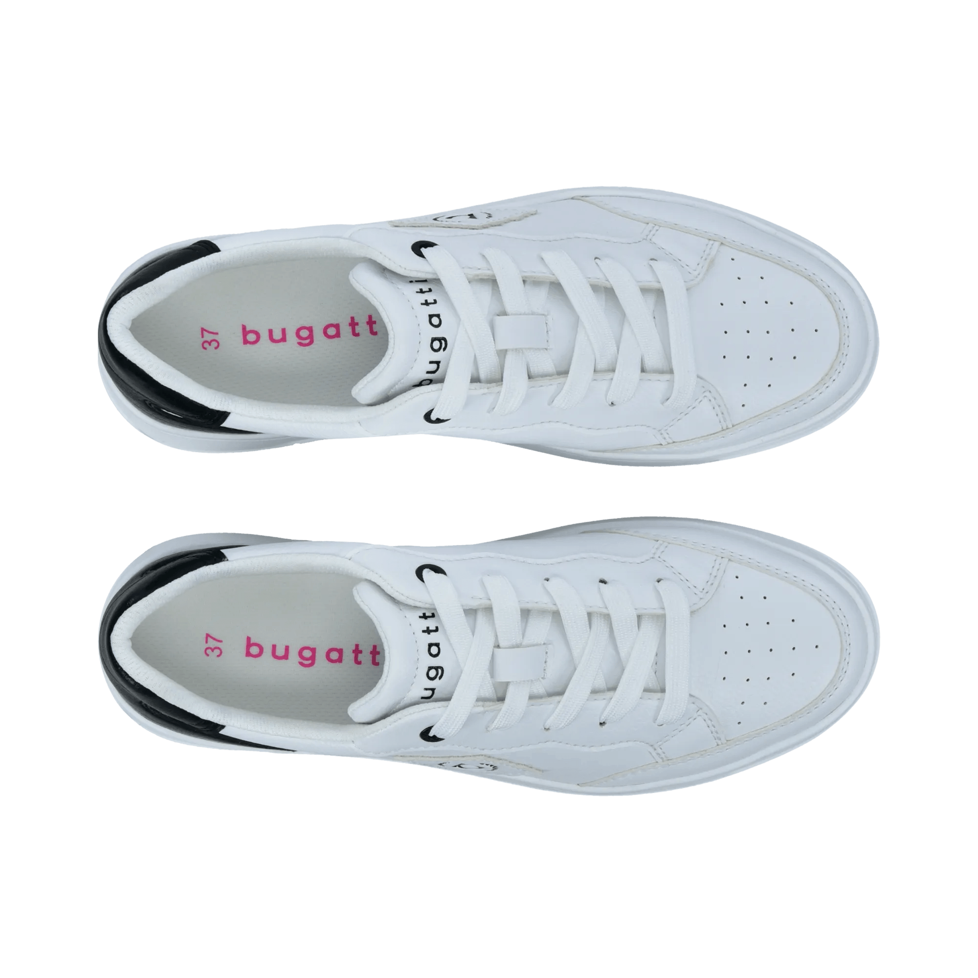 1/13/2026 3:10:41 PM