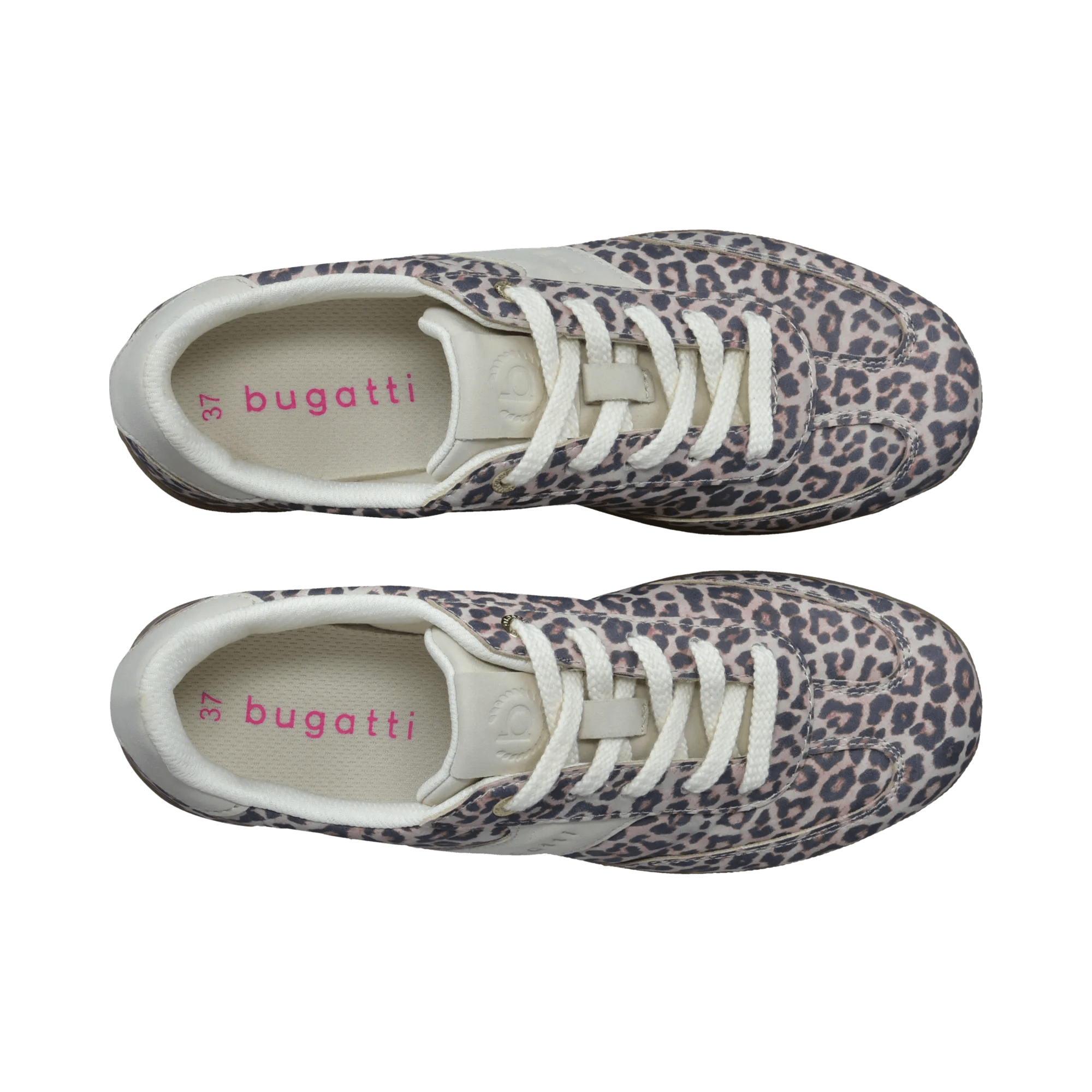 1/13/2026 3:10:59 PM