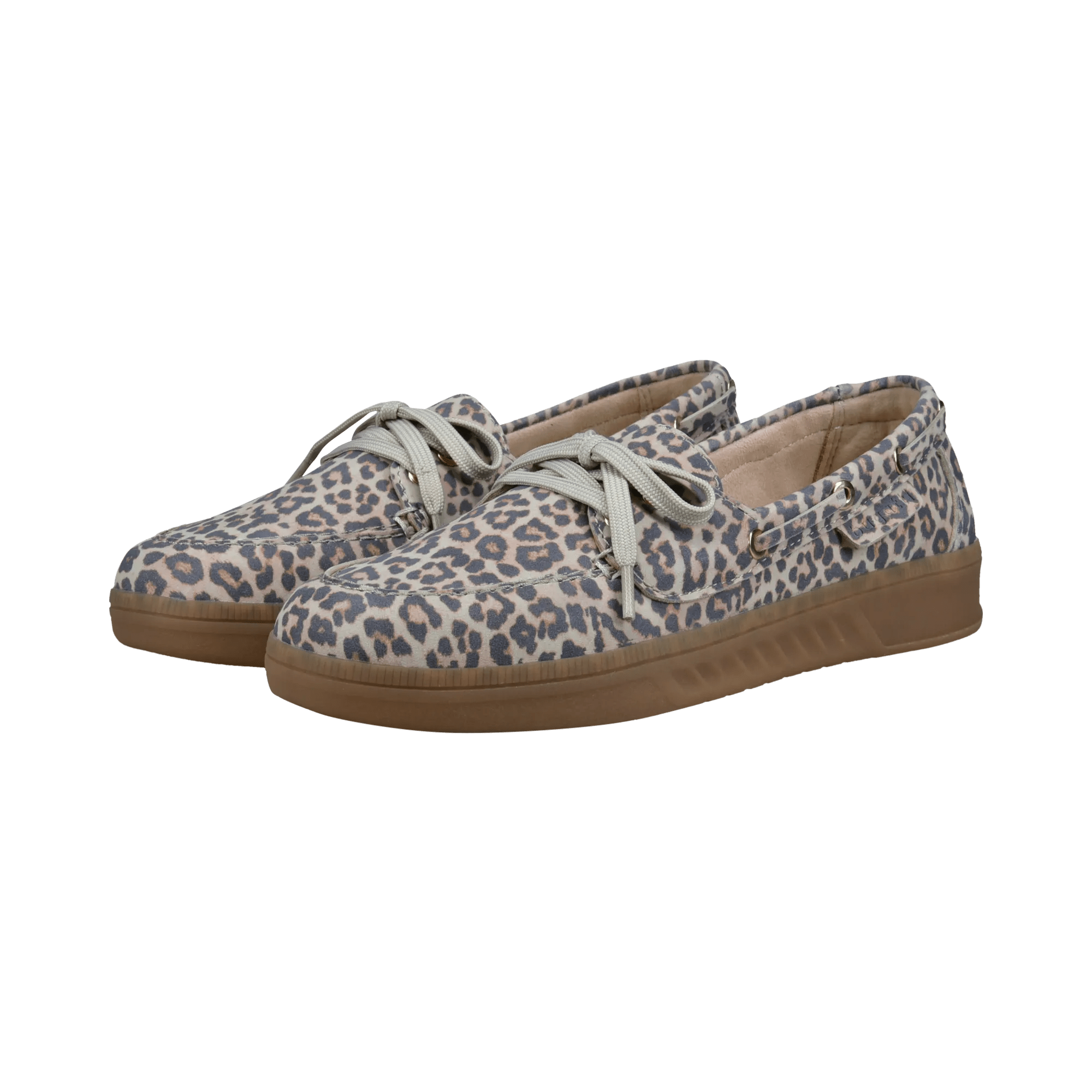 2/12/2026 2:27:13 PM