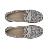 2/12/2026 2:27:13 PM