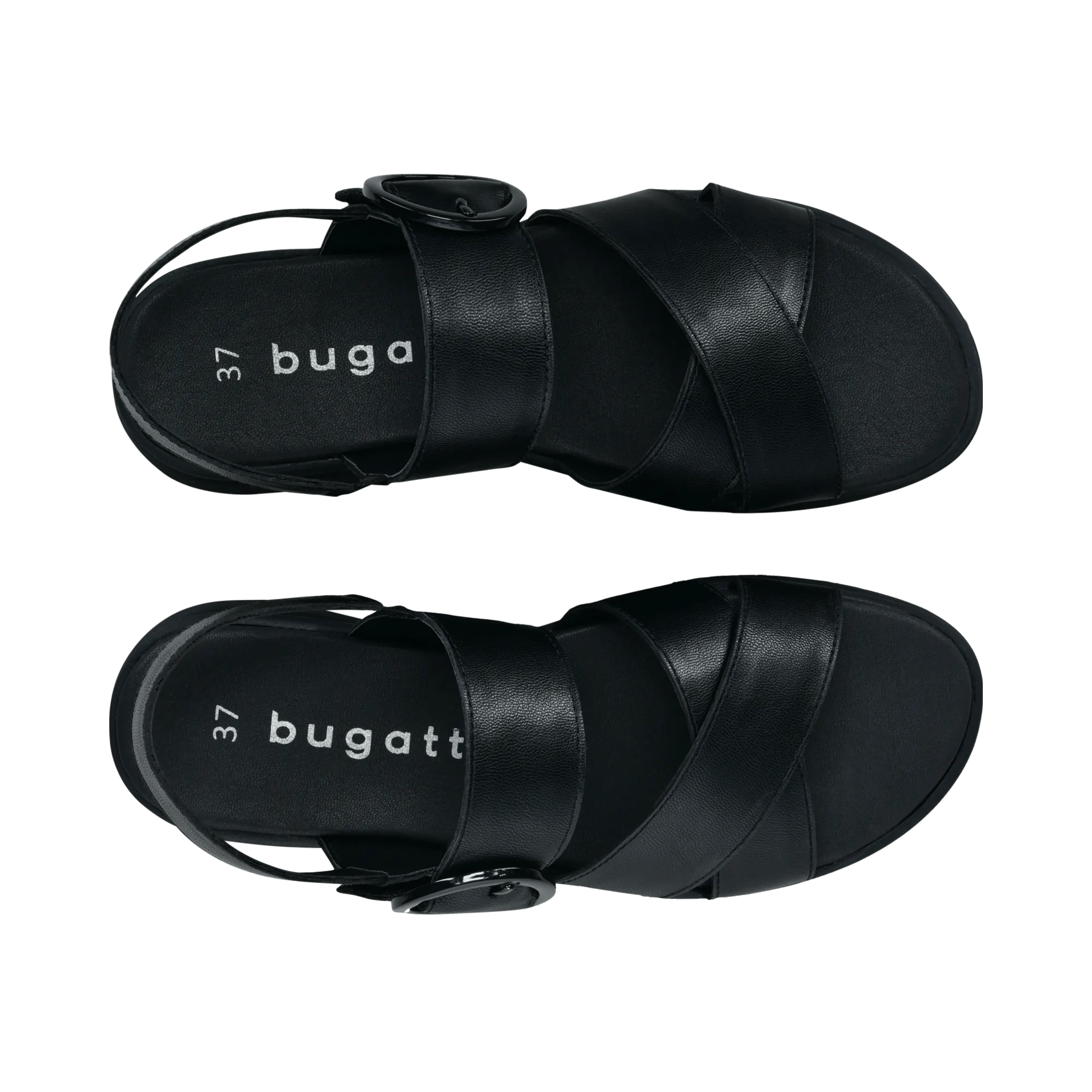 2/12/2026 2:26:53 PM