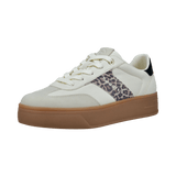 2/10/2026 2:38:15 PM