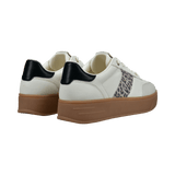 2/10/2026 2:38:15 PM