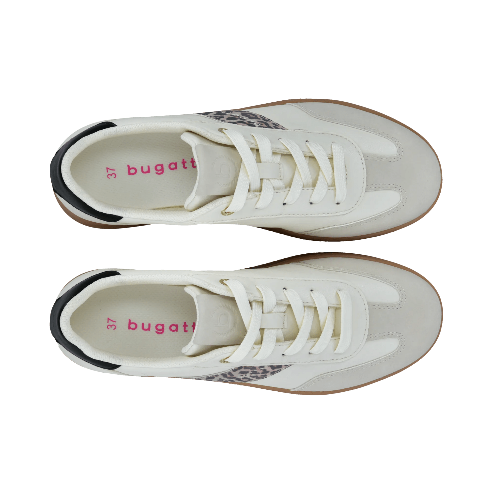 2/10/2026 2:38:15 PM