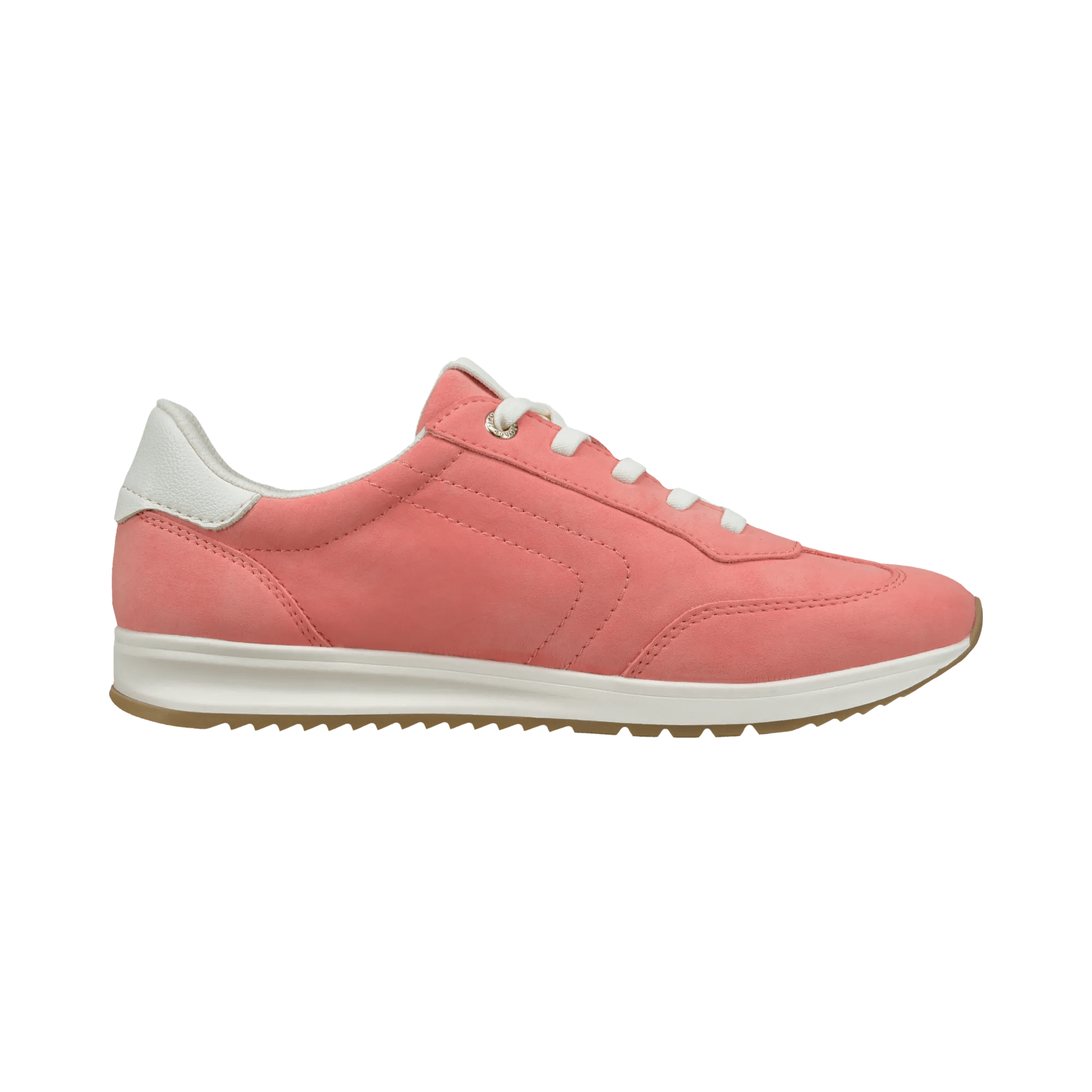 1/26/2026 11:30:04 AM