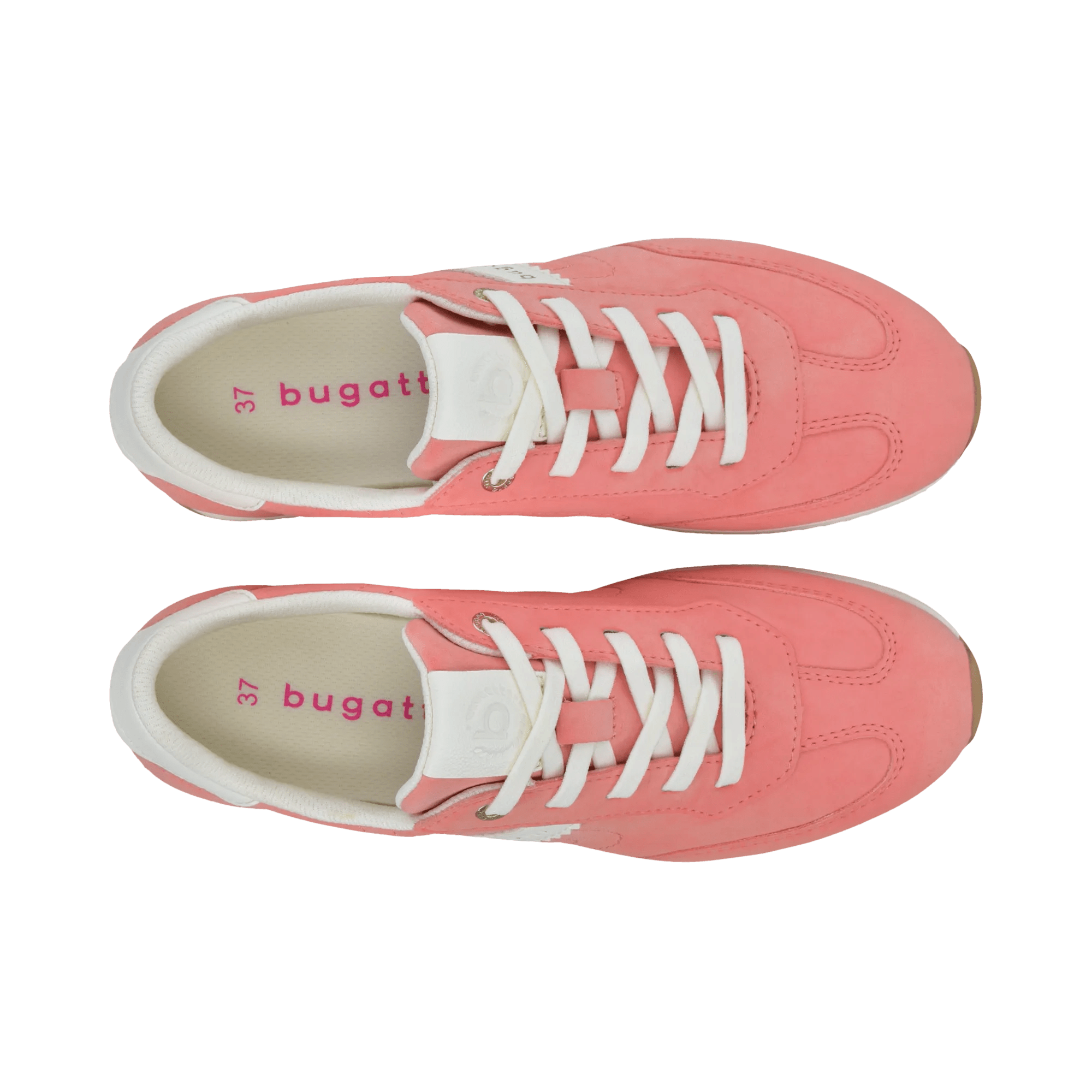 1/26/2026 11:30:04 AM