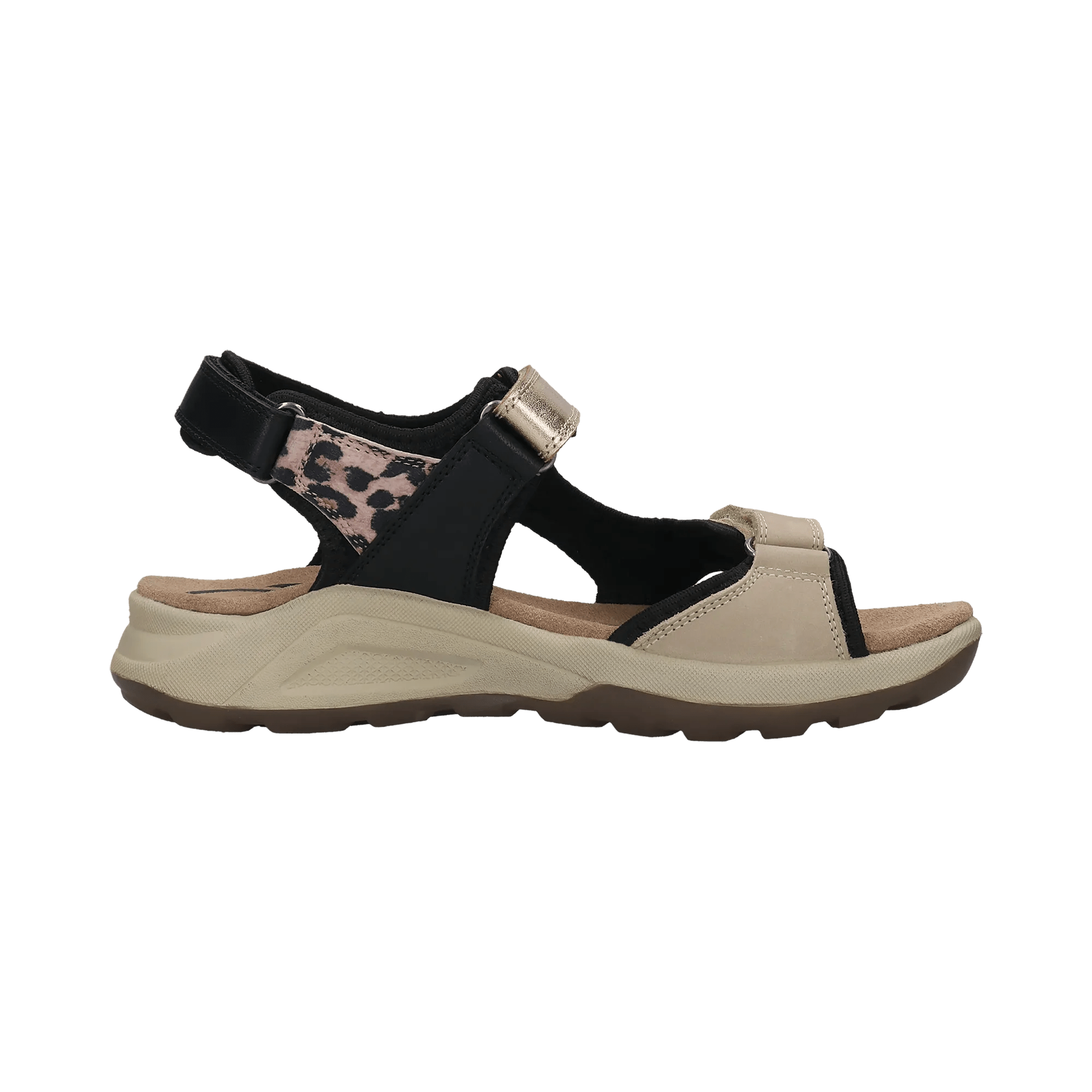 2/12/2026 2:27:27 PM