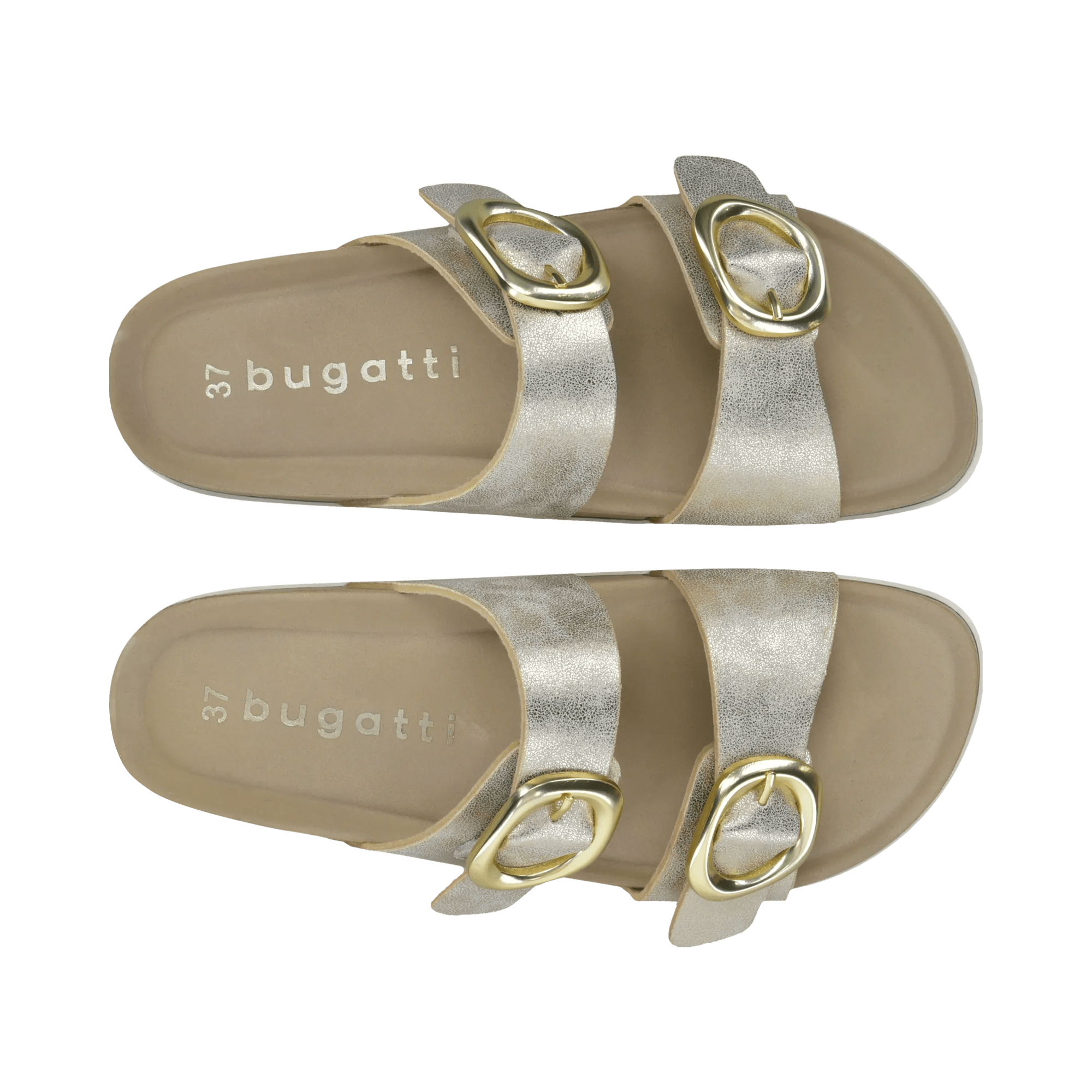 2/12/2026 2:26:59 PM