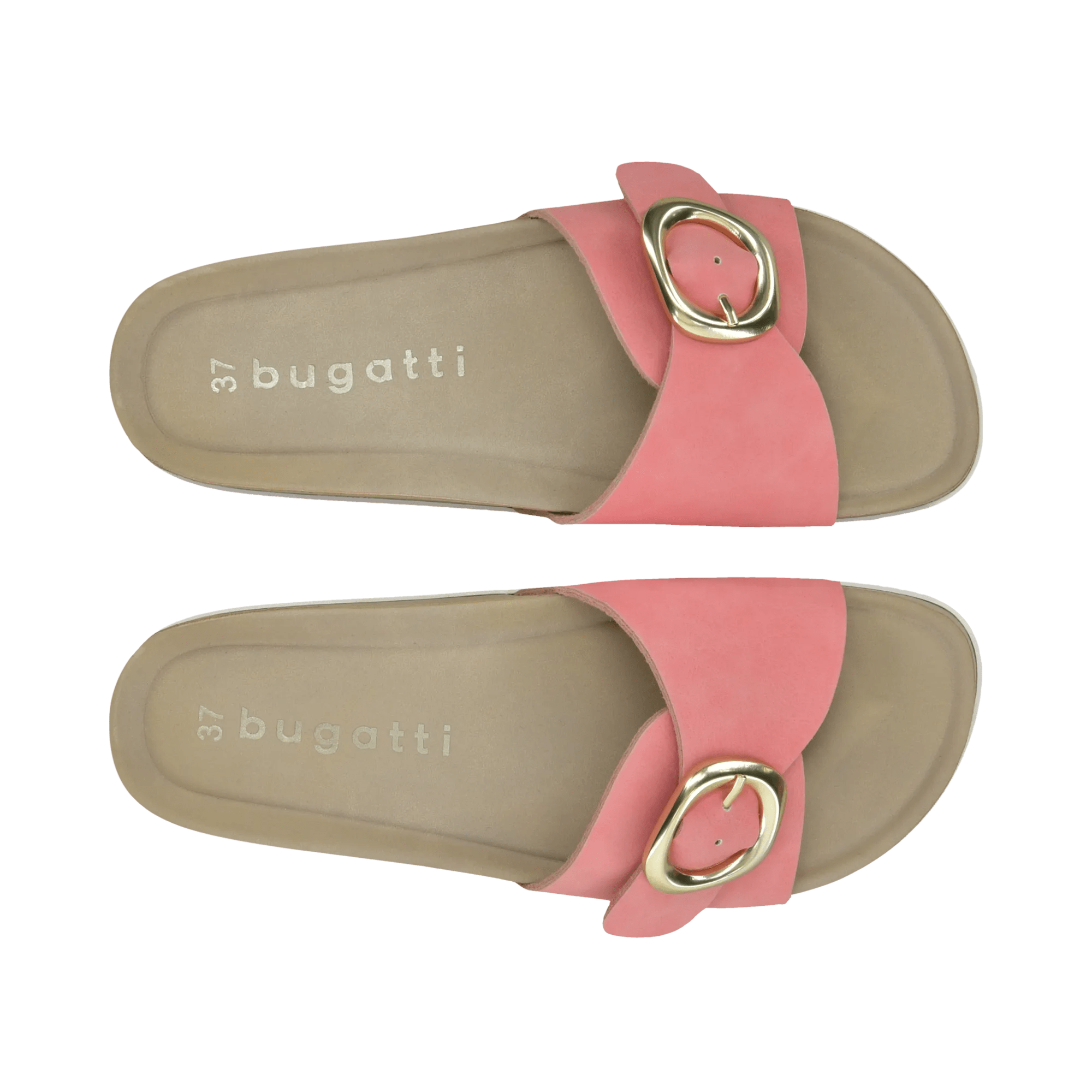 2/12/2026 2:27:01 PM